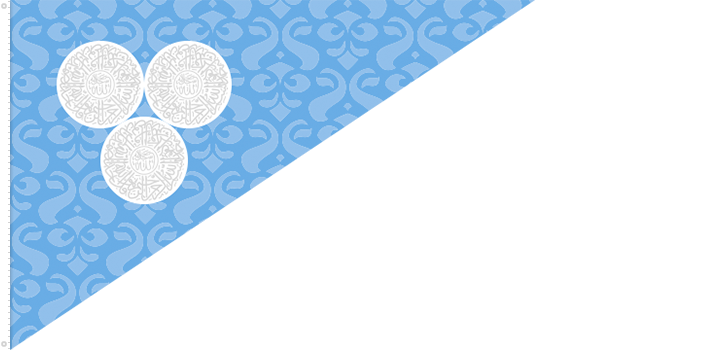 iran_flag_hist 17 .png