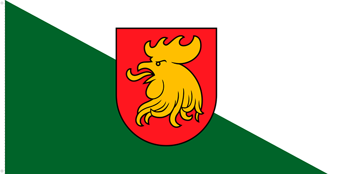 Bandera de Madonas