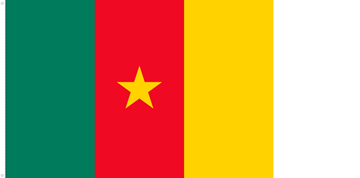 Bandera de Camerún