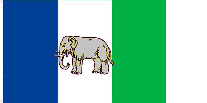 Bandera de Centro Sur