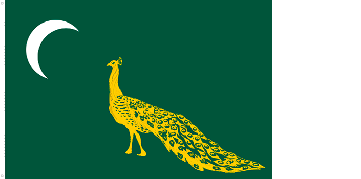 pakistan_flag_his 5.png