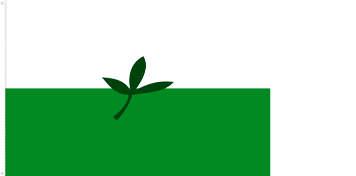 Bandera de Vaupés