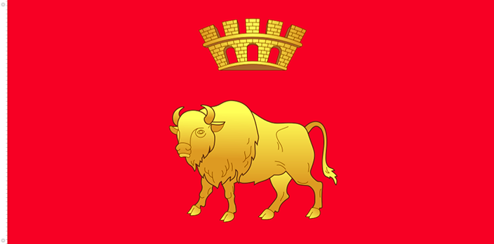 Bandera de Hrodna