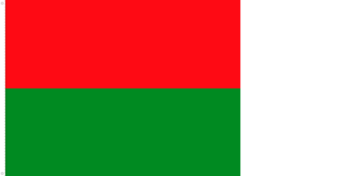 Bandera de Arauca