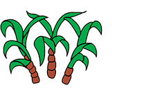icon_2.png