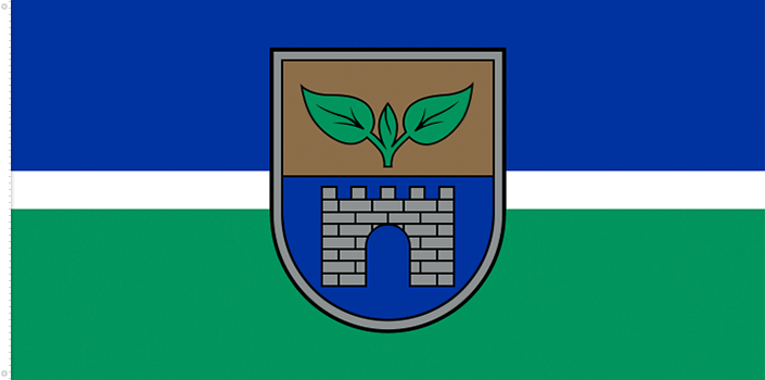 Bandera de Salaspils