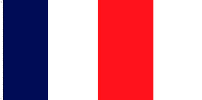 Bandera Naval de Francia