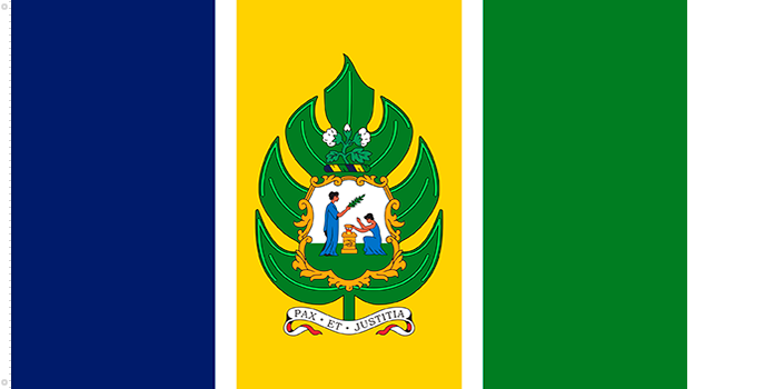 san vicente_flag_his 3.png