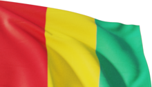 menu_guinea.png