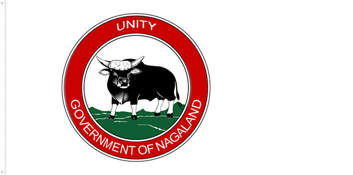 Bandera de Nagaland