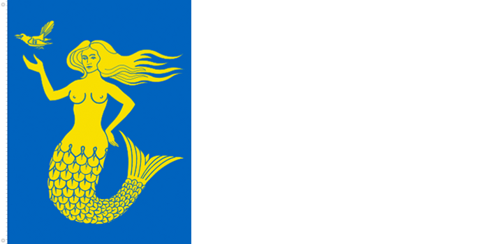 Bandera de Päijänne Tavastia