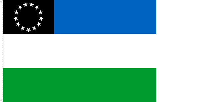 Bandera de Río Negro