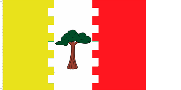 Bandera de Wele - Nzas