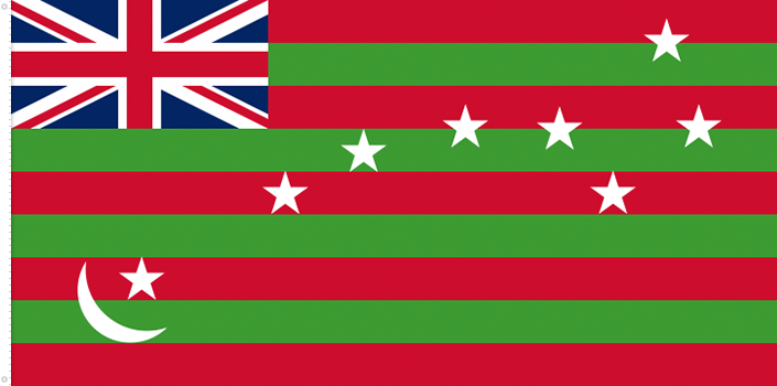 Bandera de la Liga de Autogobierno | 1917 - 1921