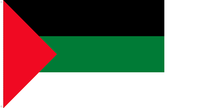 Bandera de Siria | 1918 - 1920
