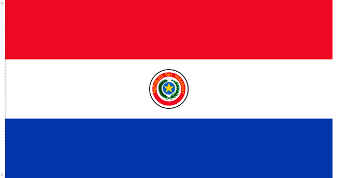 paraguay_flag_his 10.png