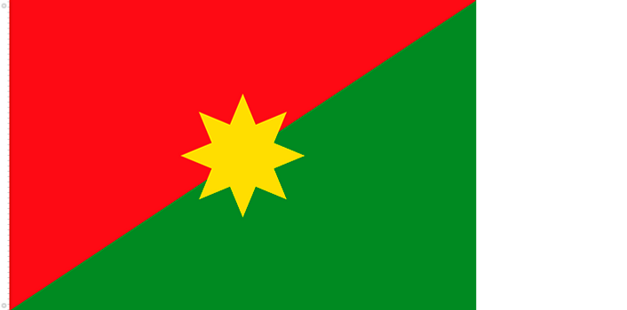 Bandera de Casanare