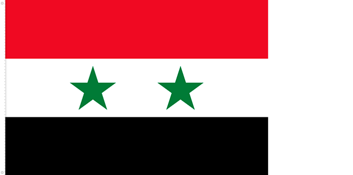 Bandera de la República Árabe Unida | 1958 - 1961