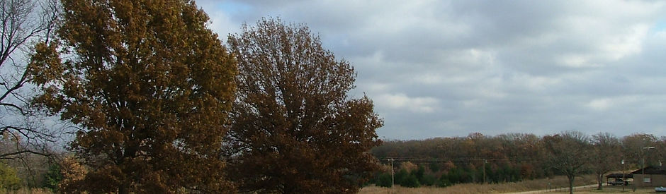 DSCF2719.JPG