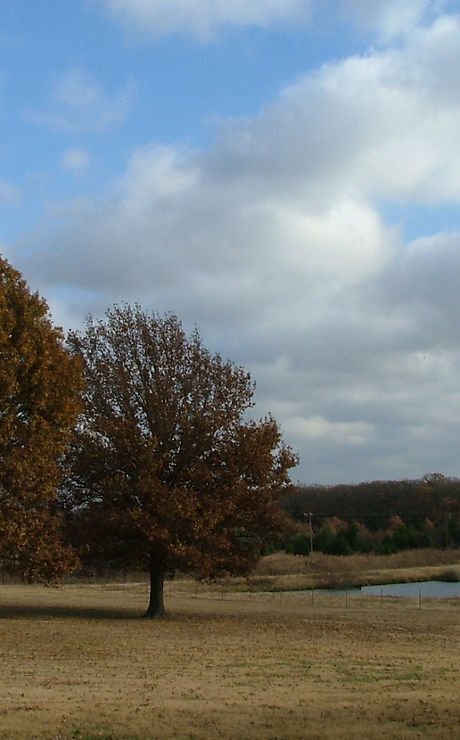 DSCF2720.JPG
