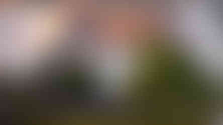 PLH_Perspective_View 2