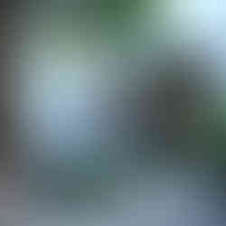 PBCH_1F_VOID (BEDR 3).jpg