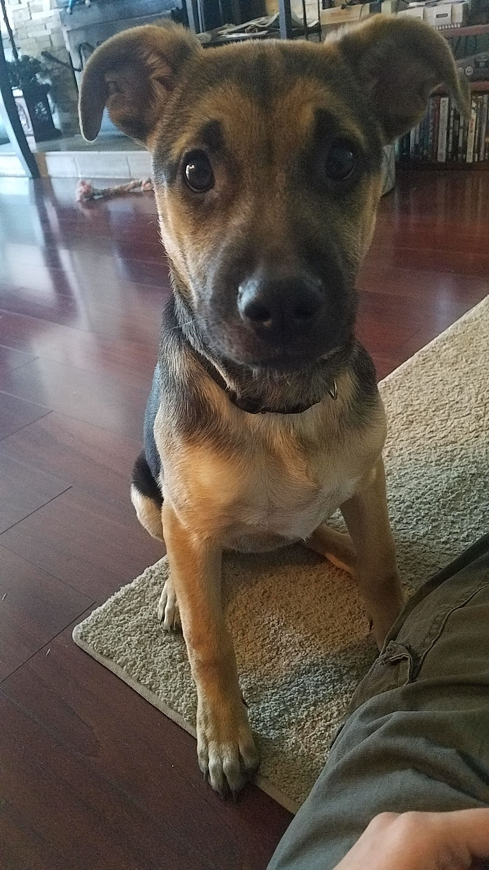 The look