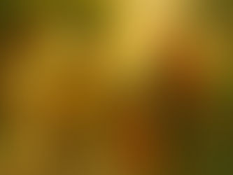 Сімейні традиції