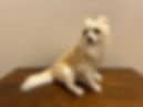 home_202504.jpeg