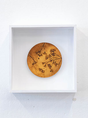2022 PretoriusEllyn_Sensory Solastalgia #5 Etched Copper and Wood.jpg