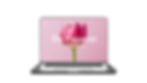 Website ontwerp