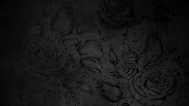 Untitled design (1).png