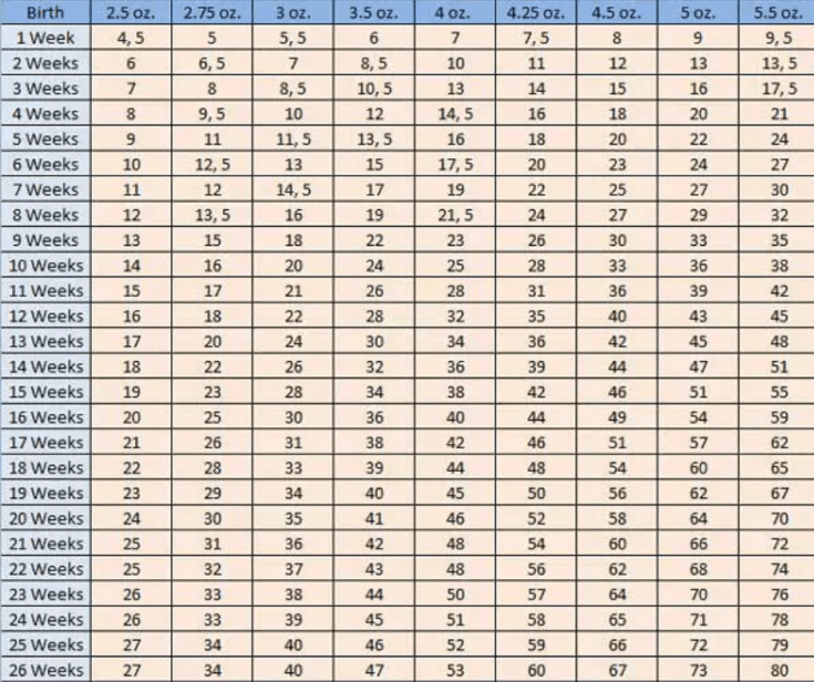 yorkie growth chart 1.webp