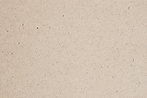 fondo.png
