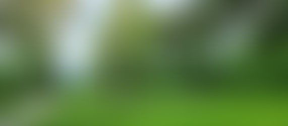 Gastrofestival opět v parku Pod Zámkem