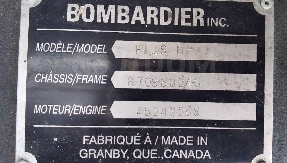 Миниатюра: Ратрак Bombardier Plus MP 300