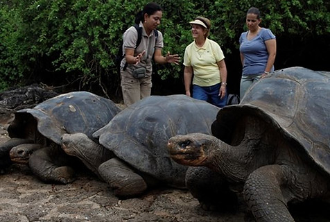 tartaruga-gigante-galapagos.jpg