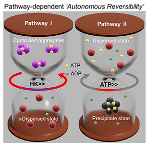 ToC chem sci 2026.png