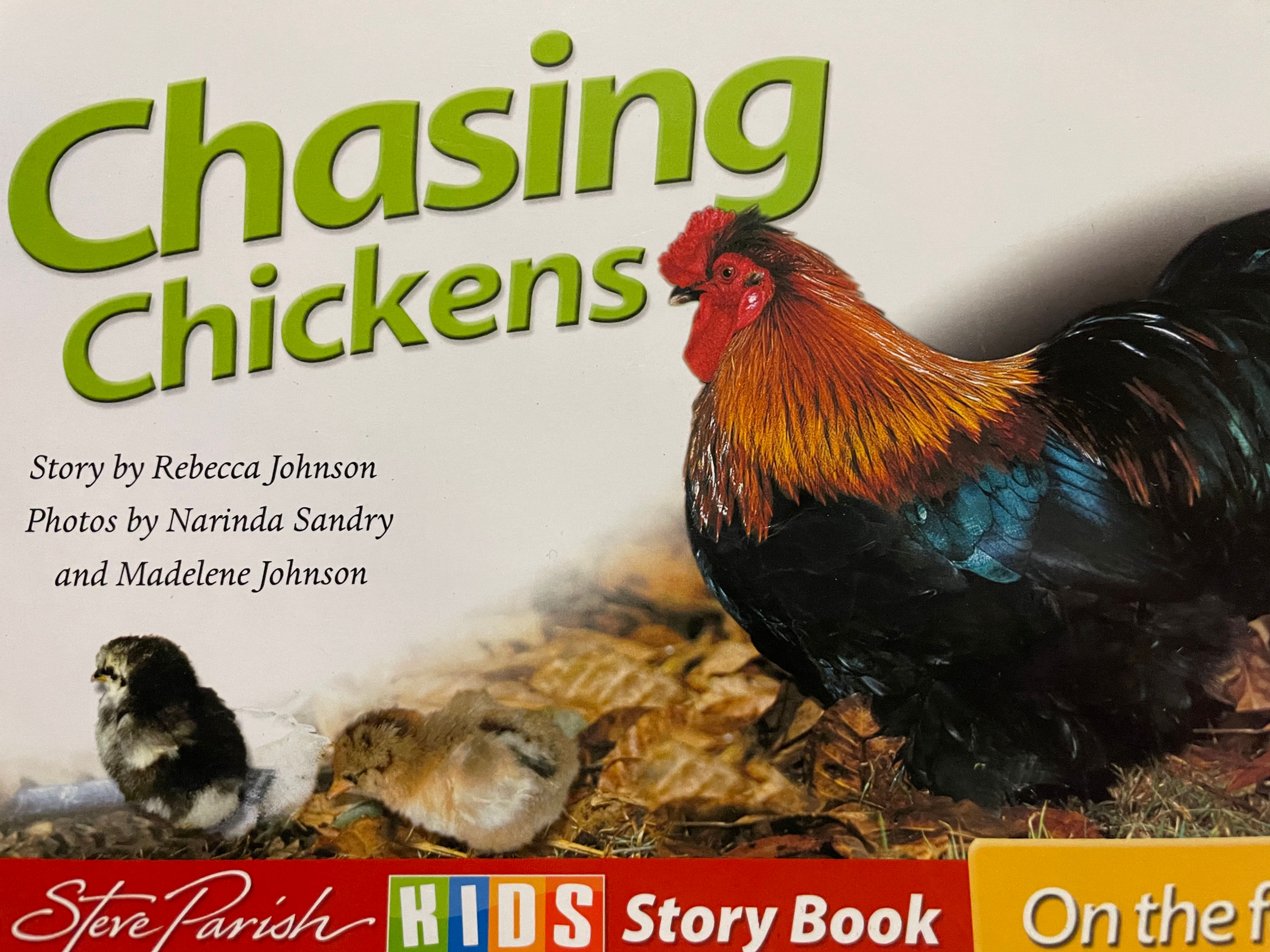 Chasing Chickens by Steve Parish 