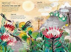 Thumbnail: The Big Book of Blooms by Yuval Zommer