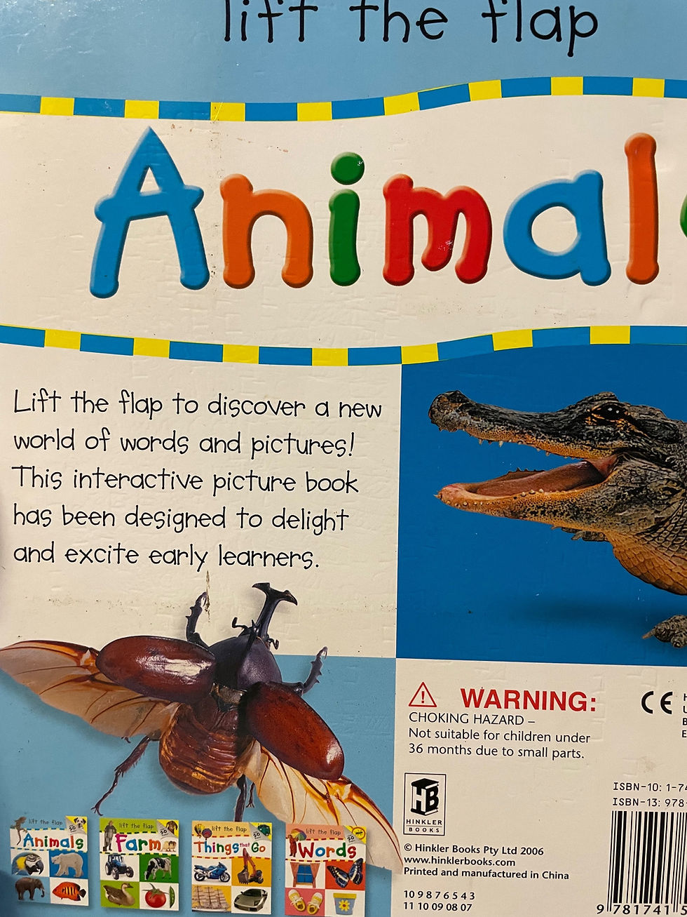 Thumbnail: Animals (Lift the Flap)