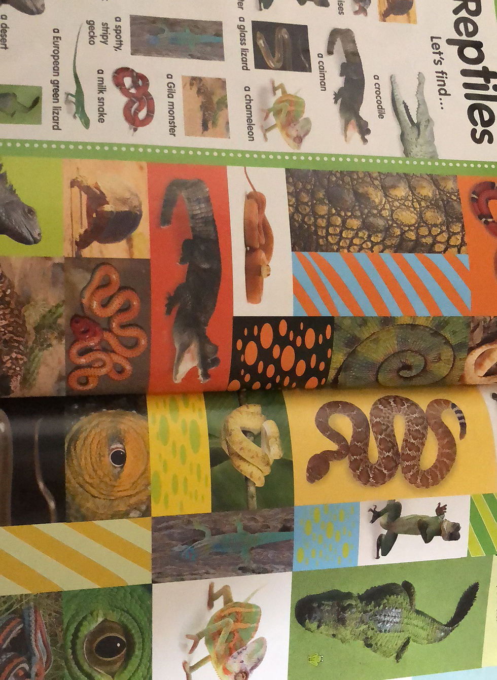 Thumbnail: DK Hide & Seek Animals Large Hardcover 