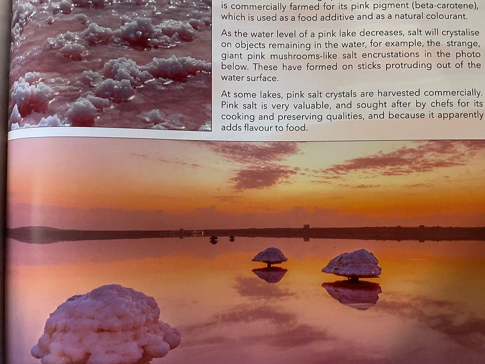 Thumbnail: Incredible Earth by Stewart McPherson