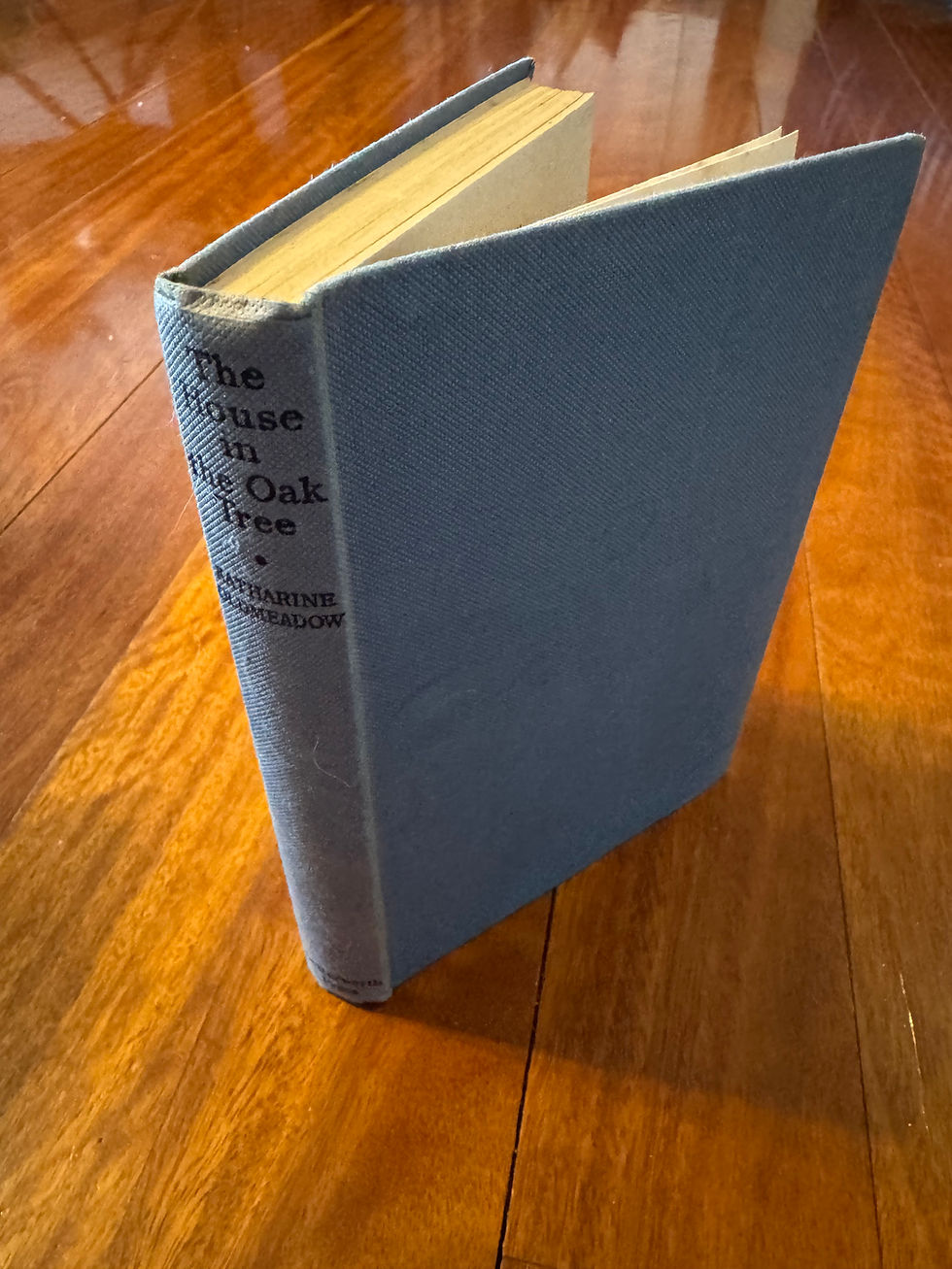 The House in the Oak Tree by Katharine L. Oldmeadow - Hardcover Vintage