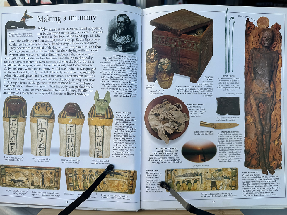 Thumbnail: Mummy by James Putnam