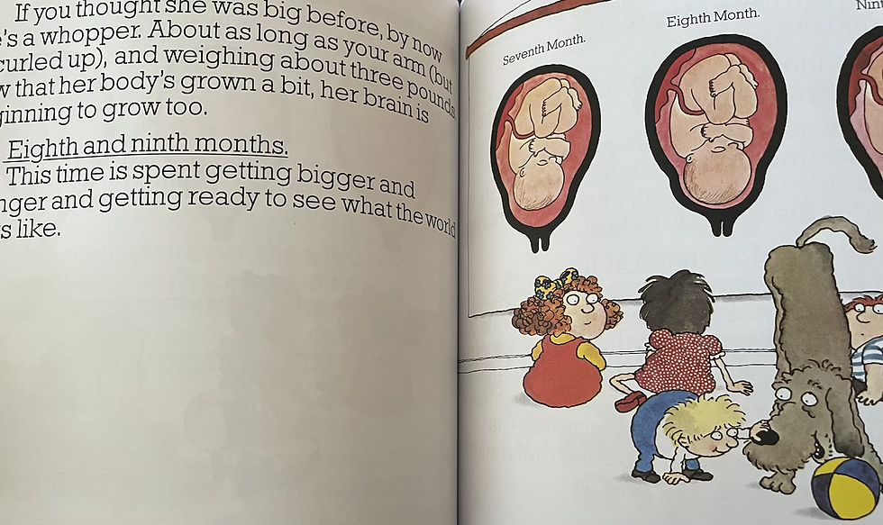 Thumbnail: “Where Did I Come From?” By Peter Mayle