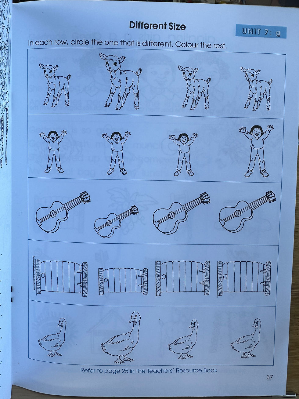 Thumbnail: Literacy for Littlies Part A by Marion Ireland 