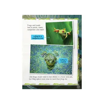 Our World Readers – English Precursive
