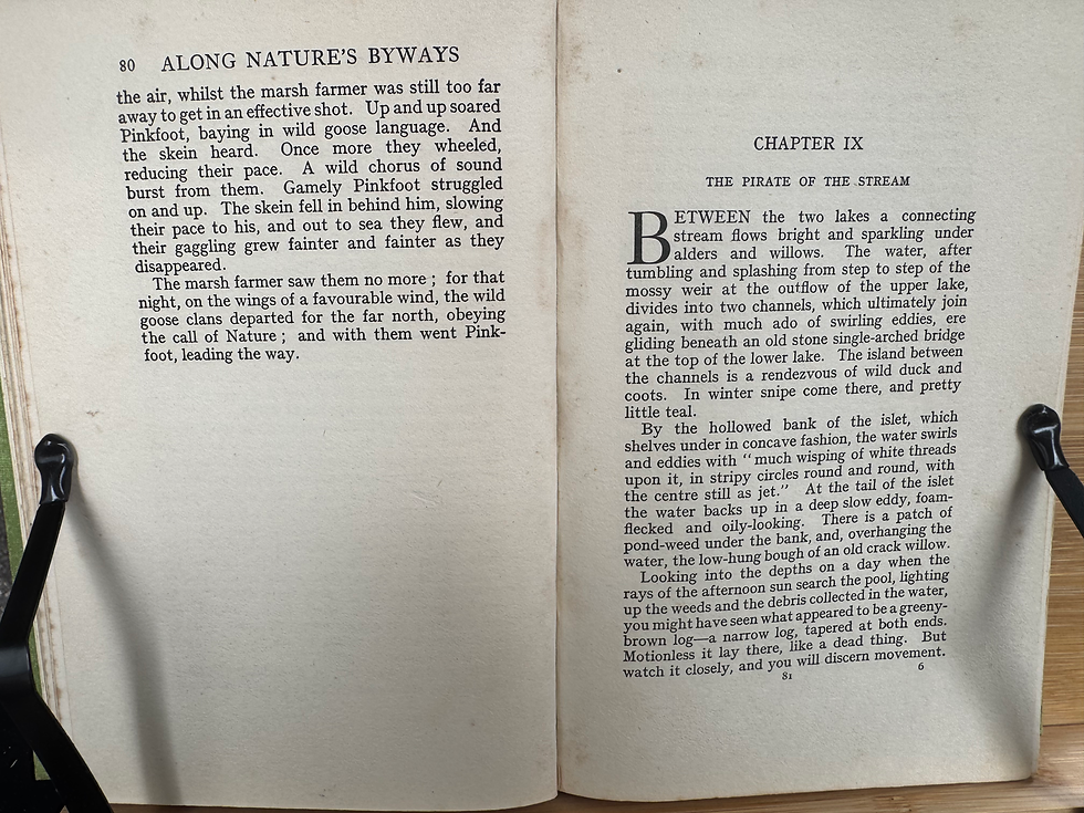 Thumbnail: The Gateway of Literature Five Centuries of Great Tales of Youth 