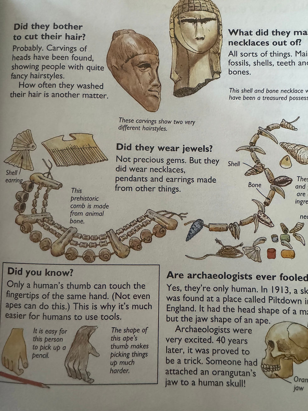Thumbnail: Who Were The First People? By Phil Roxbee Cox